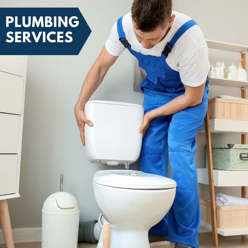 Plumbing Company in North Buena Vista, IA